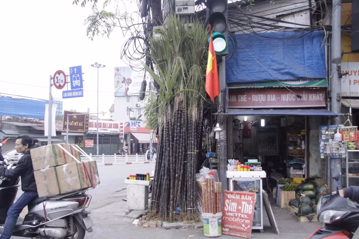 Ở những góc phố như Đê La Thành, Tôn Đức Thắng, Nguyễn Thái Học hay Ô Chợ Dừa, không thiếu những cây mía lộc được các tiểu thương bày bán.