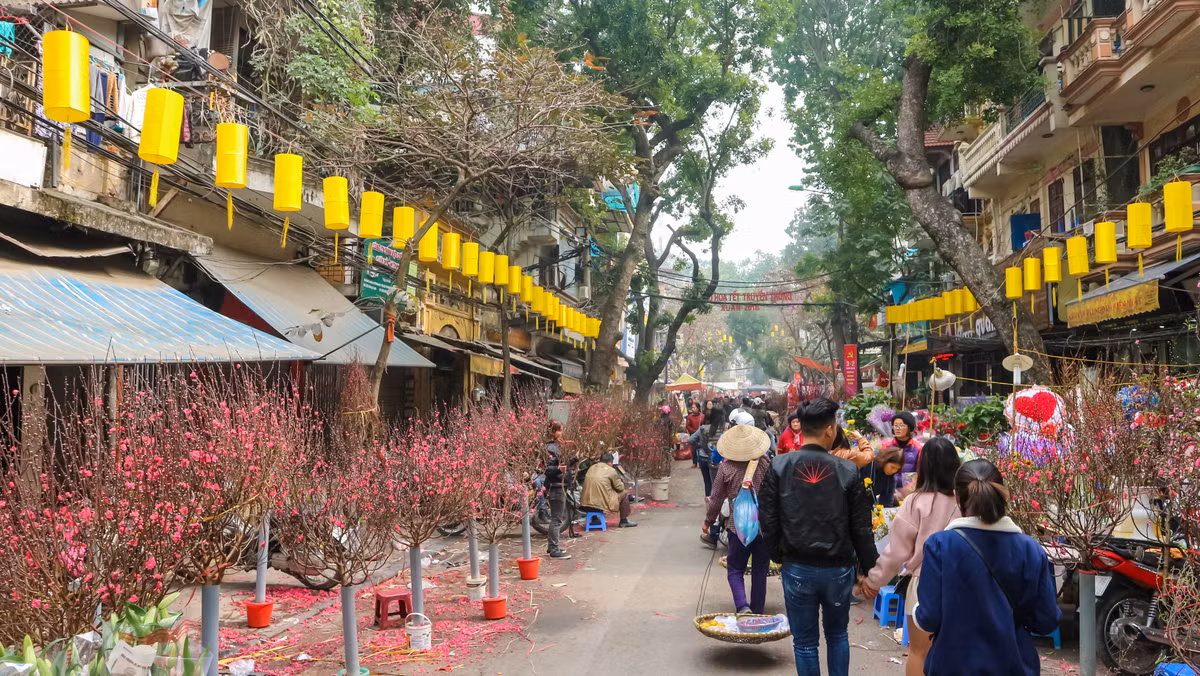 Cả dọc phố Hàng Lược những chậu quất, cành đào được người dân bày bán với đủ mọi hình hài, giá cả. Bác Minh Tuyết (67 tuổi, Hà Nội) chia sẻ: "Tôi là một người dân trong phố cổ, nhìn những hình ảnh này khiến tôi nhớ về Tết xưa rất nhiều. Cũng chiều 30 Tết như này, những gia đình lao động như nhà tôi mới bắt đầu sắm Tết. Nhà có 4 người thì chia nhau ra, bố tôi thì mua cành đào, mẹ thì tranh thủ đi mua vài thứ mứt, kẹo, anh tôi thì đi mua lá thơm về để đun nước tắm, còn tôi bé nhất nên được theo bố đi chọn cây".