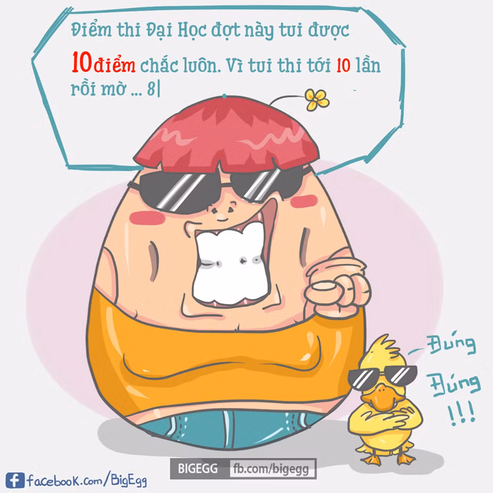 Thi đại học 10 lần chắc chắn sẽ có 10 điểm đó là suy luận của BigEgg.