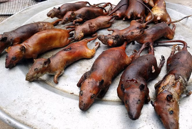 Tuy không phổ biến bằng thịt chó nhưng thịt chuột cũng là món ăn rất phổ biến trong ẩm thực Việt Nam. Tại một số địa phương ở miền Bắc như Từ Sơn (Bắc Ninh), Thạnh Thất, Hoài Đức (Hà Nội), thịt chuột là một đặc sản không thể thiếu trong mỗi dịp lễ Tết quan trọng.