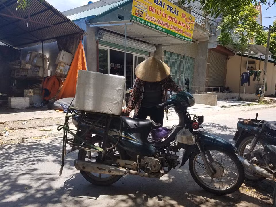 Chị Hoa – thương lái thu mua châu chấu tại Lai Xá đang chuẩn bị chở hàng đi giao