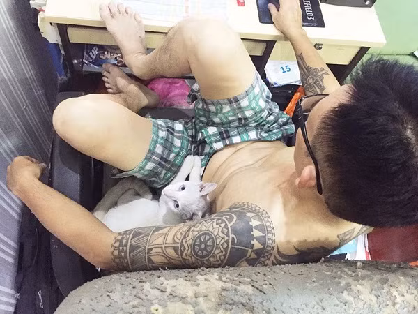 Người bố yêu mèo hơn con gái của Phương Nghi đó là bắc Thanh Phương (50 tuổi, kinh doanh, TP.HCM). Chia sẻ về việc bố mẹ cấm nuôi mèo, nữ sinh 9X Sài Gòn tâm sự vì gia đình làm kinh doanh nên trước đây cũng hơi tin vào chuyện mèo vào nhà là nghèo, còn chó vào nhà thì sang. Tuy nhiên vì quá thương những chú mèo lang thang nên cô bạn này đã cố tình giấu mèo trong phòng. Cũng chính vì giấu nuôi mèo trong phòng, Phương Nghi và bố đã có khoảng thời gian "chiến tranh lạnh".