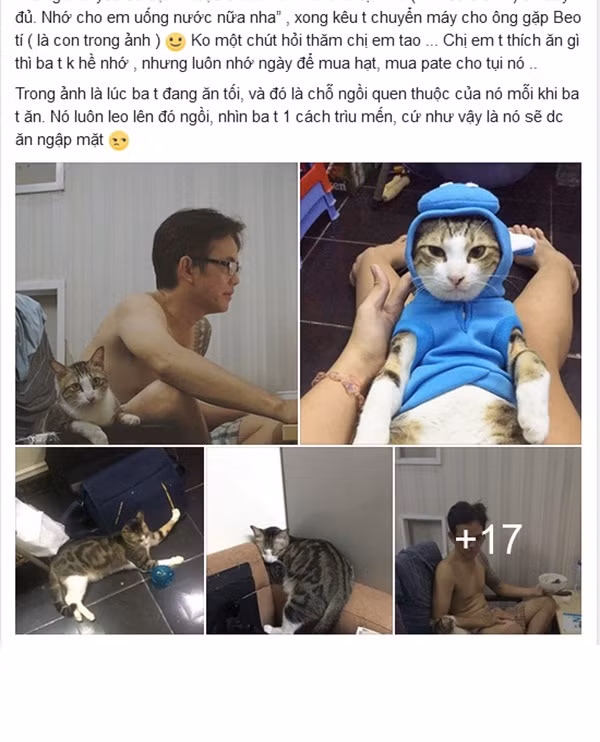 Từng là người phản đối kịch liệt khi con gái giấu giếm nuôi mèo cơ nhỡ trong phòng, nhưng sau đó, chính ông bố bá đạo lại khiến cô con gái rượu hậm hực khi ông yêu quý, cưng chiều mèo hơn cả con ruột. Đó là câu chuyện mới đây được cô gái 9X Sài Gòn chia sẻ trên mạng xã hội đông đảo dân mạng chú ý.