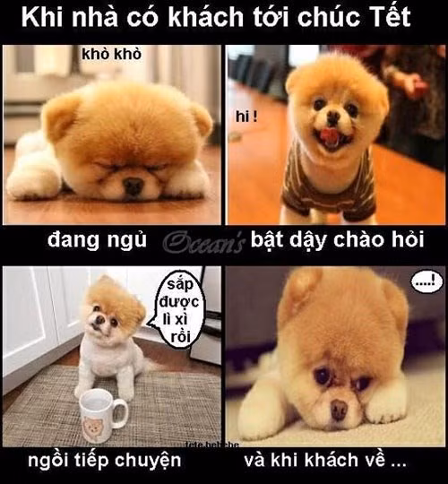 Quy trình nhận tiền lì xì.