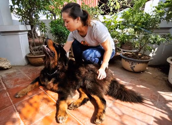 Lần mò vào trang fanpage của hội những người yêu chó Ngao Tây Tạng, những thành viên trong cộng đồng này đã có những bình luận rất gắt về clip quay lại cảnh giết chó của người đàn ông Bạc Liêu trên. Nickname Ánh Nhật chia sẻ: "Ngao Tây Tạng được mệnh danh là vua của các loài chó và tôi lên án kịch liệt mọi hành động giết động vật, đặc biệt là vật nuôi. Một sự dã man, kinh tởm, mất nhân tính". Lần mò vào trang fanpage của hội những người yêu chó Ngao Tây Tạng, những thành viên trong cộng đồng này đã có những bình luận rất gắt về clip quay lại cảnh giết chó của người đàn ông Bạc Liêu trên. Nickname Ánh Nhật chia sẻ: "Ngao Tây Tạng được mệnh danh là vua của các loài chó và tôi lên án kịch liệt mọi hành động giết động vật, đặc biệt là vật nuôi. Một sự dã man, kinh tởm, mất nhân tính".