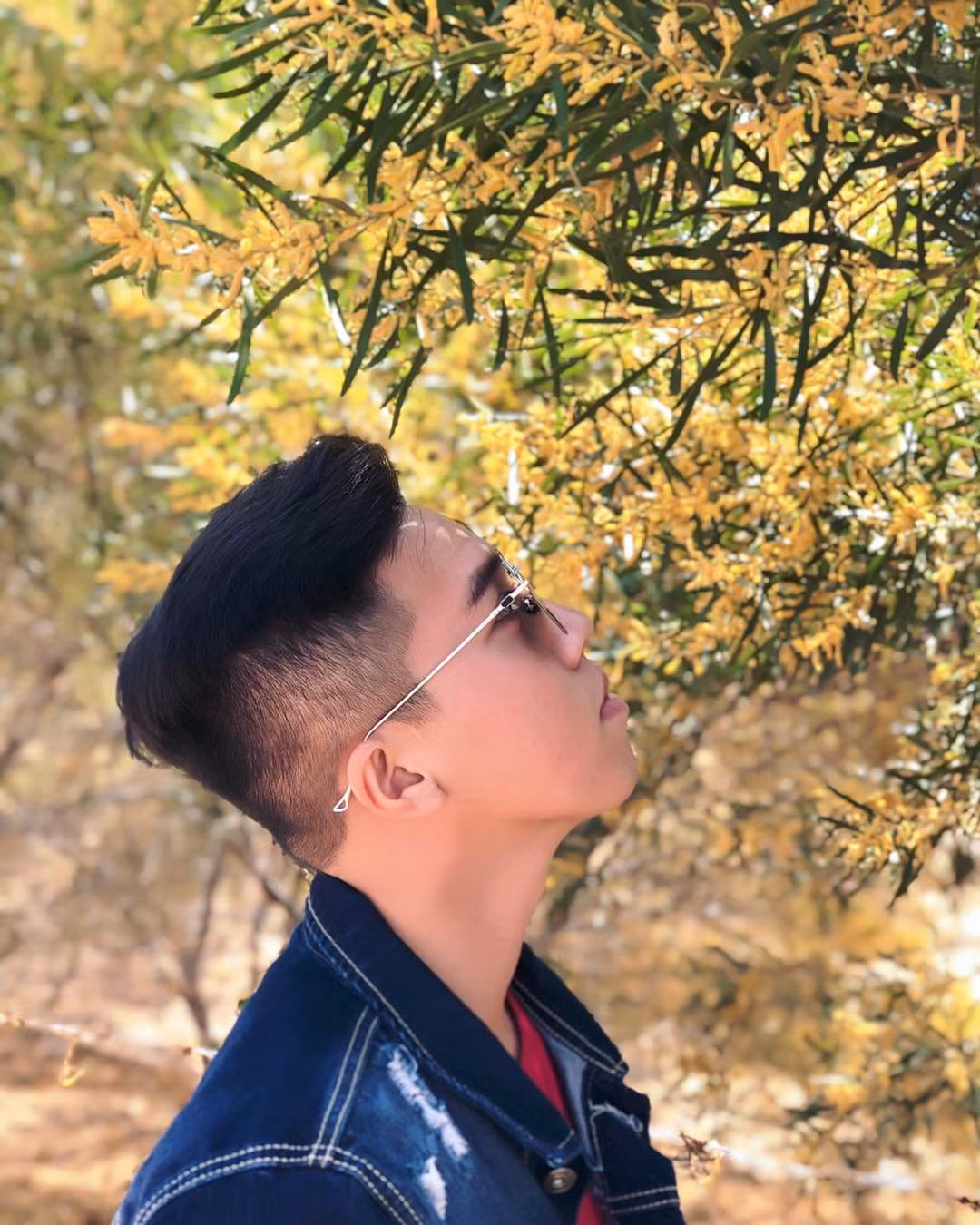 Những cây keo lá tràm không quá cao, bông hoa nhỏ, dạng bông đuôi sóc có màu vàng bóng, điều đặc biệt là mỗi cây có hàng ngàn cách hoa tỏa nắng khác nhau.