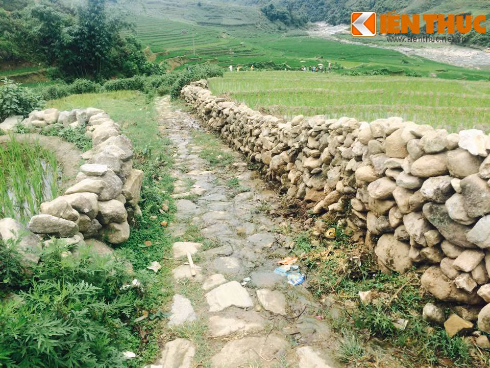 Con đường dẫn vào nương lúa của người dân Sapa được kè bởi những bức tường đá vừa để giữ nước.