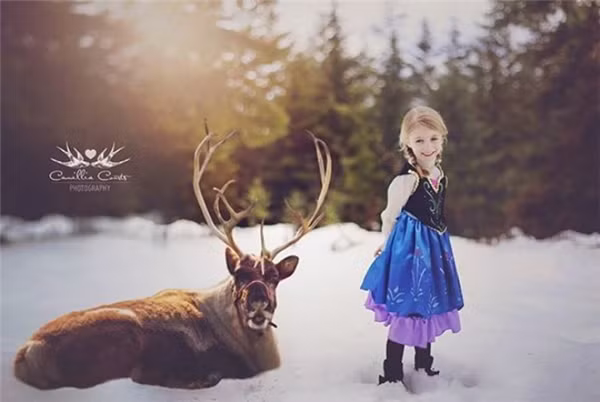 Câu chuyện bắt đầu khi cô nàng Layla thường xuyên kể cho mẹ mình nghe về ước mơ của mình, cô bé từng ước mơ rằng mình sẽ được xinh đẹp, tài năng và được diện những bộ váy lộng lẫy như các nàng công chúa như Elsa hay Bạch Tuyết.