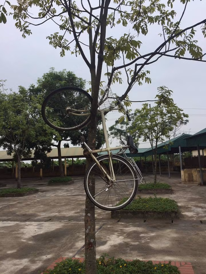Dù tỏ ra rất tức với trò đùa của lũ bạn nhưng chủ nhân của những chiếc xe chỉ biết ngậm ngùi tự gỡ xe xuống để đi về nhà.