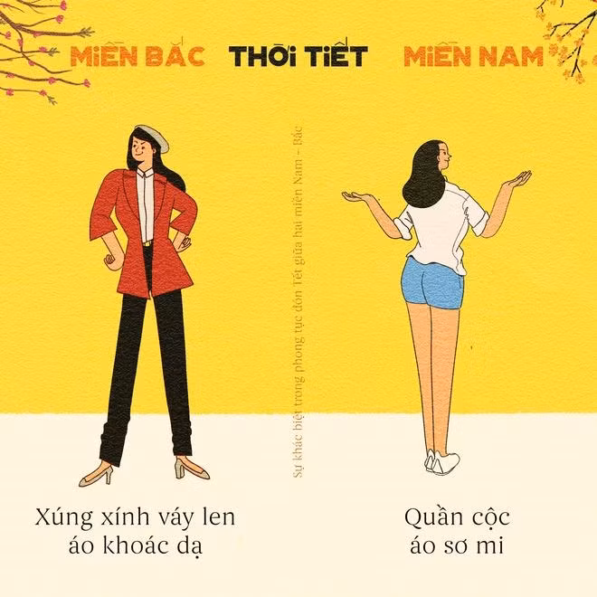 Miền Bắc đi chơi Tết thường lạnh lắm nhưng trong Nam thì mát mẻ, thoải mái vô cùng.