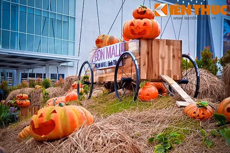 Ở nước ngoài, dịp lễ Halloween, người ta dùng những quả bí ngô to để “trang điểm” nhiều gương mặt đáng sợ, sau đó gắn đèn hoặc đốt nến ở bên trong cho phát sáng, xua đuổi những "thế lực đen tối" tiếp cận ngôi nhà của mình. Cũng vì thế mà mô hình bí ngô được chọn làm vật trang trí phổ biến trong dịp lễ Halloween tại Sài Gòn.