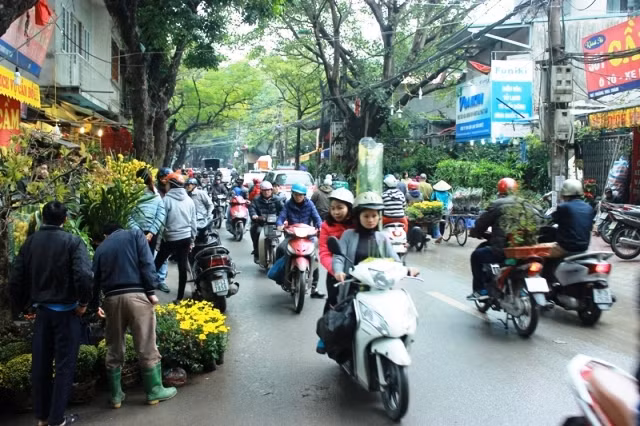 Có dịp ghé chợ Bưởi vào phiên chợ cuối cùng của năm vào ngày 29 tháng Chạp âm lịch, bạn sẽ bị choáng ngợp trước muôn vàn loại hoa, cây cảnh khoe sắc, cùng hòa vào dòng người mua hoa chơi Tết.