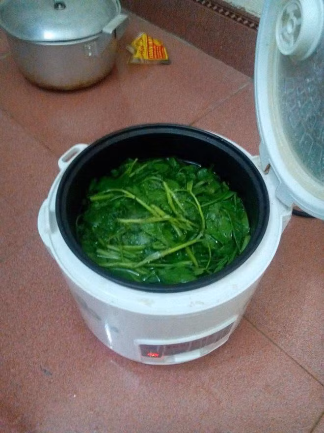 Luộc rau bằng nồi cơm điện, chỉ có đời sinh viên bạn mới được nếm thử.