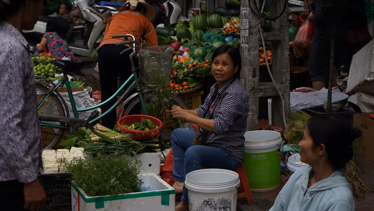 Những bó rau mùi già ở nhiều góc phố hay những gánh bán hàng rong trong thủ đô, nhưng nhiều nhất phải kể đến là phố Trần Quý Cáp, đường Thụy Khuê và các khu chợ nhỏ.
