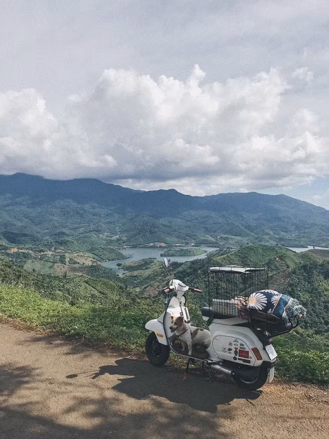Chia sẻ thông tin về chú chó của mình, Minh Trúc cho biết em chó của cậu bạn này có tên là Bon, chó lai. Mẹ là chó ta, ba là Pug. Bon đã được 1,5 tuổi. Chuyến đi gần đây nhất mà Bon được đồng hành đó là cung đường từ Sài Gòn đi đến Phan Thiết.