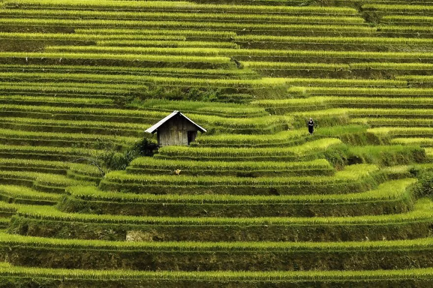 Rehahn đã đến và sinh sống ở Việt Nam năm 2007 đến nay, nhiếp ảnh gia sinh năm 1979 này liên tục có những hành trình rong ruổi khắp các miền đất để chụp ảnh về phong cảnh và con người.