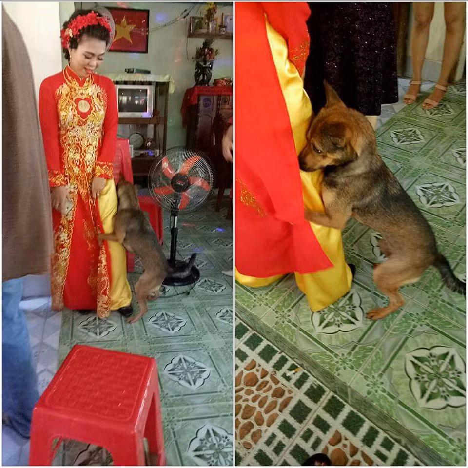 "Chị ơi đừng đi! ở nhà ai chơi với em".