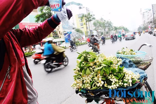 Cách một đoạn lại có người bán nhưng ít người mua. Ảnh C.N