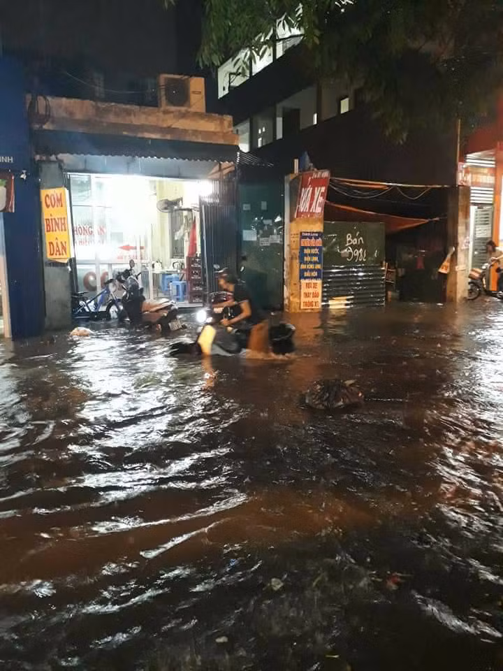 Nhìn dòng nước ngập dâng lên, nhiều dân mạng còn hỏi nhau rằng "Đã bắt được cá chưa các ông ơi?" hay "Mưa thế này mà phố biến thành sông thì ra bơi đi đỡ mất mấy chục nghìn mua vé đi bể bơi".