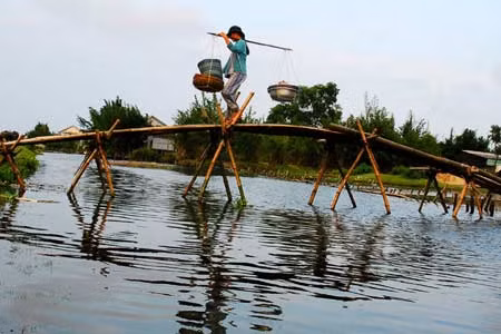 Đi qua cầu khỉ sẽ giúp các du khách thử lòng can đảm khi phải đối mặt với cây cầu lỏng lẻo và bấp bênh.
