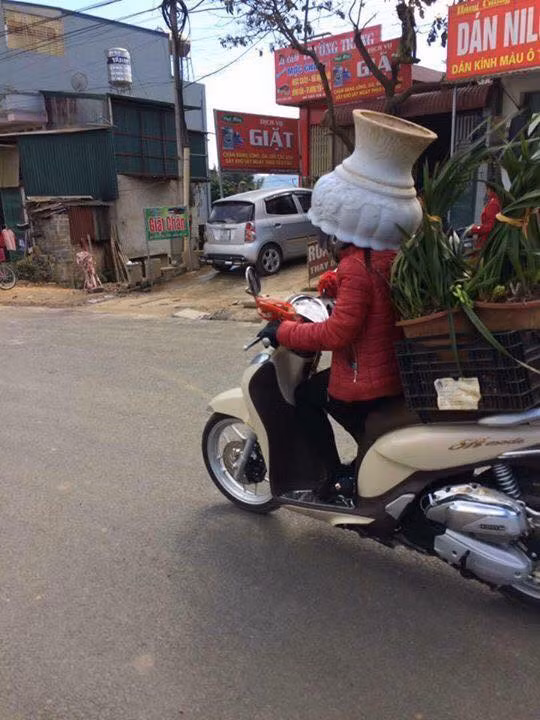 Công dụng của những chiếc mũ bảo hiểm là nhằm bảo vệ an toàn cho người tham gia giao thông. Tuy nhiên trong tình huống cấp bách, nhiều lái xe đã biến những cái "không thể thành có thể". Mới đây, trên mạng xã hội lan truyền hình ảnh một người phụ nữ dùng chiếc chậu hoa để thay thế mũ bảo hiểm lưu thông trên đường phố Việt. Cảnh tượng khiến dân mạng phải "ngã ngửa", không tin vào mắt mình.