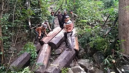 Lam tac dang anh 'tu suong', rao go lau tren Facebook