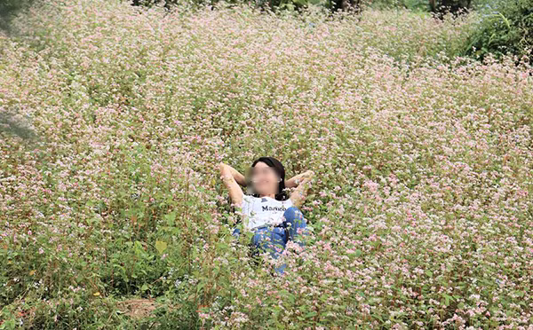 Goc xau xi quanh Le hoi hoa tam giac mach Ha Giang