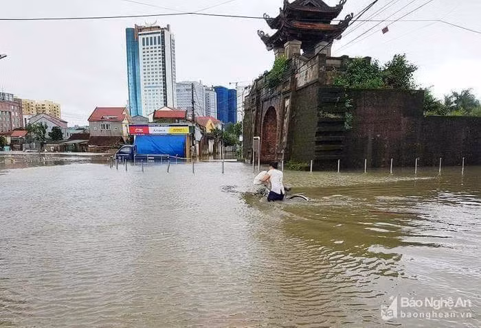 Thành cổ trên phố Đặng Thái Thân ở Vinh ngập nước cao chừng gần 1m. Ảnh: Báo Nghệ An