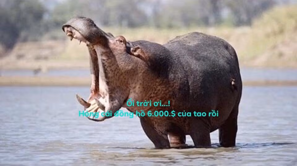 Mới đây, dân mạng đưa ra loạt ảnh chế lật lại toàn bộ sự việc qua con mắt hài hước. Từ việc bà Hiền la khóc vì chiếc đồng hồ 6.000 đô của mình cho đến liên tục xưng mày tao với nhân viên hàng không.