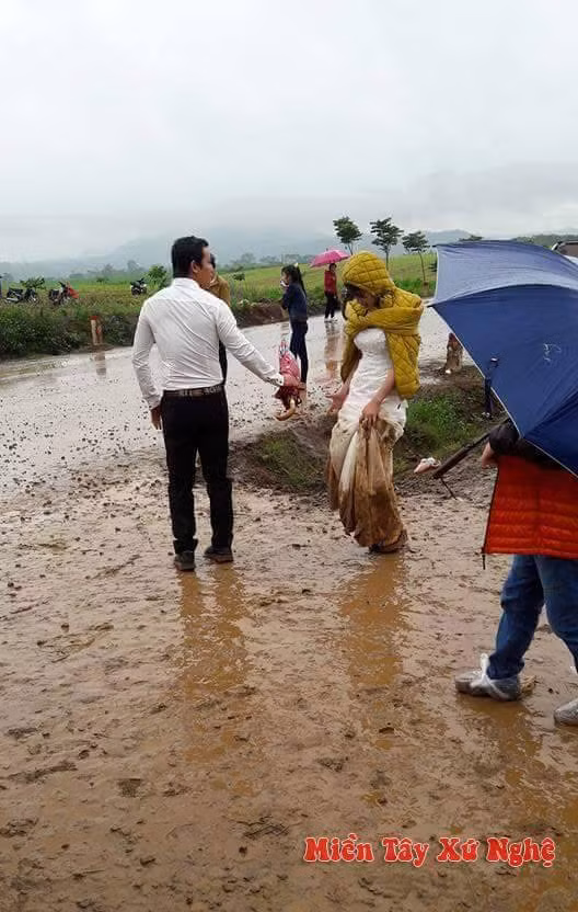 Mới đây, cảnh tượng cô dâu lội bùn lại được tái hiện tại cánh đồng hoa hướng dương tại Nghệ An. Chẳng quản ngại thời tiết mưa rét, các cặp đôi trẻ đã lặn lội tới đây để có những bức hình cưới đẹp và ấn tượng nhất.