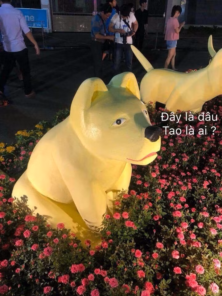 Theo nickname Hải Lê (25 tuổi, TP HCM) chia sẻ: "Tôi có đến các địa điểm vui chơi tại thành phố và tôi rất ấn tượng với các linh vật của năm nay. Buồn cười nhất là cháu mình nói: "Cậu ơi! chó gì sao giống con lợn thế, béo tròn béo trục"".
