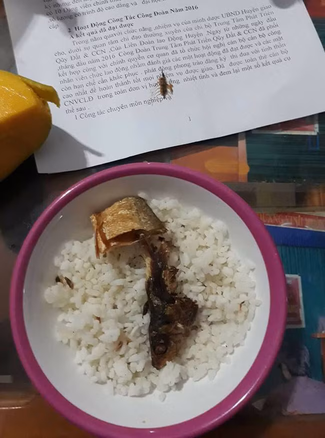 Chung quy lại, miếng ăn là chuyện tế nhị nhưng trong đó thể hiện cả tình yêu thương, sự tôn trọng và phép lịch sự cơ bản cần có. Có nàng dâu nào không đau lòng khi thấy mâm cơm được nhà chồng để phần như vậy.