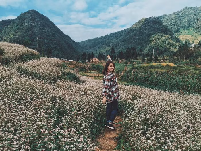 Thiên nhiên Hà Giang chưa bao giờ tươi đẹp đến thế khi có sự điểm tô của sắc hoa, núi rừng dường như cũng mênh mang cả một sắc thu. Ảnh: @kimchangchun.