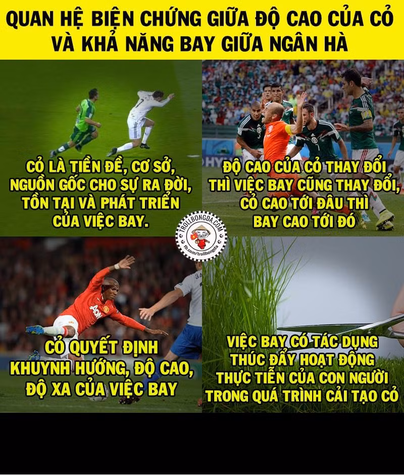 Ảnh chế hài hước chỉ ra mối quan hệ biện chứng giữa độ cao của cỏ và những pha bay người ăn vạ của các cầu thủ.
