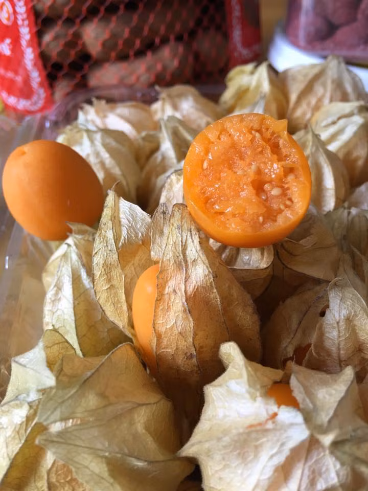 Cây tầm bóp còn có tên gọi là cây lồng đèn hay thù lù canh, một loại quả có trong khu vườn nhà chị, quả mọng tròn, nhẵn, lúc non màu xanh, khi chín có màu hơi đỏ và bao trùm bên ngoài như một cái túi. Quả tầm bóp có vị đắng, mát và không độc, có nhiều tác dụng có lợi cho sức khỏe.