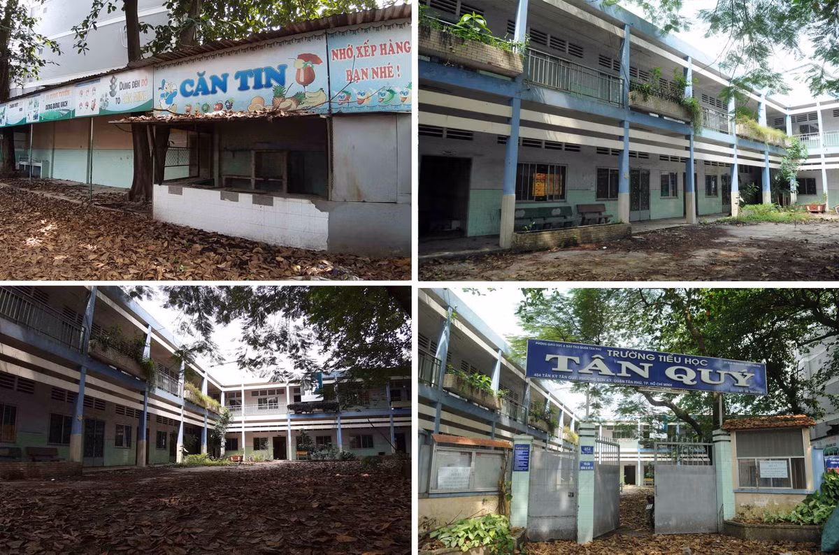 La lung truong tieu hoc giua pho bo hoang 3 nam, co moc um tum-Hinh-3
