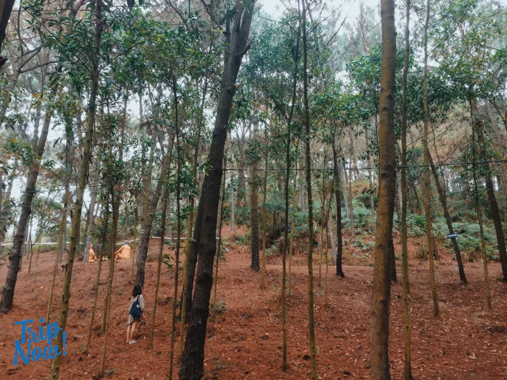 Cùng với Sơn Tinh Camp hay Hàm Sơn, Bản Rõm mới đây đã được giới trẻ điền vào sổ tay những khu du lịch sinh thái gần Hà Nội có thể đi lại và vui chơi trong những ngày cuối tuần và đặc biệt là dịp nghỉ lễ 2/9 tới.