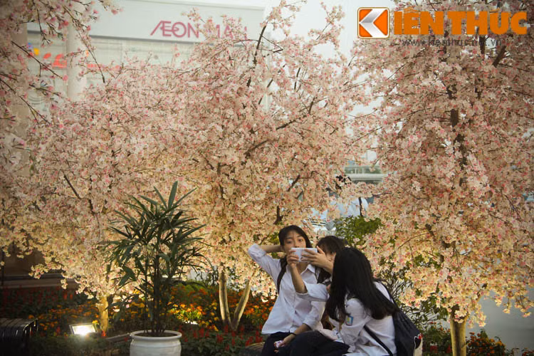 Tại địa điểm mới này, có rất nhiều cây hoa anh đào được bố trí để tạo không gian cho các bạn trẻ tha hồ chụp ảnh "tự sướng".