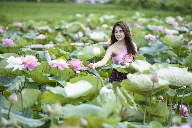Cũng giống như bộ ảnh hoa loa kèn trước đây, những bức ảnh mới của Duangpasong Anisone được rất nhiều người chú ý sau khi đăng tải. Ngoài ra không ngớt những lời khen cho cô nàng về sự duyên dáng và nét đẹp thanh tú từ hình thể tới khuôn mặt.