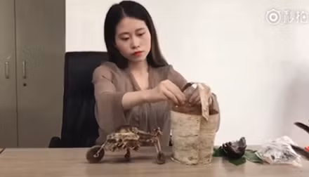 Sau khi chứng kiến quá trình biến chỗ làm việc thành nhà bếp của Tiểu Dã thật sự thú vị thì chính vị sếp của cô nàng này đã khuyến khích cô tiếp tục nấu ăn theo phong cách lạ để tạo không khí vui vẻ và sự khác biệt cho văn phòng, nơi bị coi là khá căng thẳng và thô cứng.