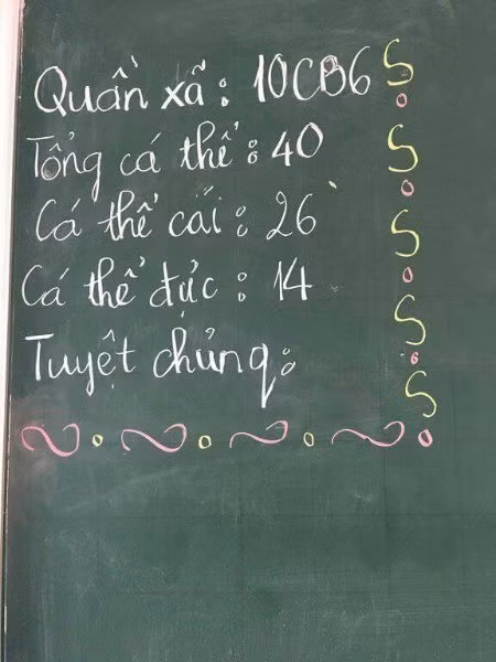 Chắc đây là tác phẩm của một lớp chuyên Sinh rồi.