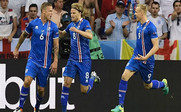 Euro 2016 Phap - Iceland: Chu nha cam cuong ngua o-Hinh-2