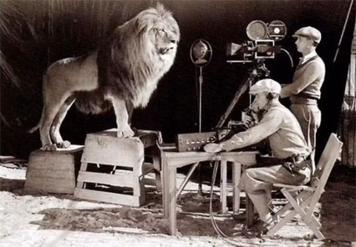 Quá trình ghi hình cho logo của tập đoàn truyền thông Metro-Goldwyn-Mayer.