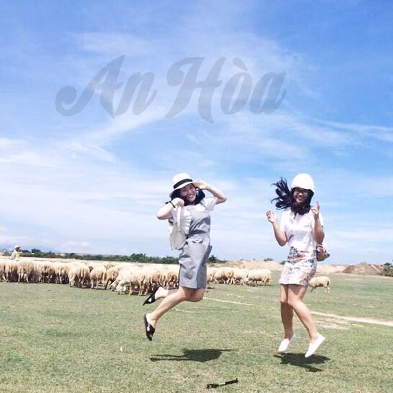 Ngoài Bãi Tràng khi tới du lịch Ninh Thuận, nhiều bạn trẻ còn tìm tới đồng cừu An Hòa. Nơi đây là điểm chăn thả cừu khá lớn lên tới hàng ngàn cá thể.