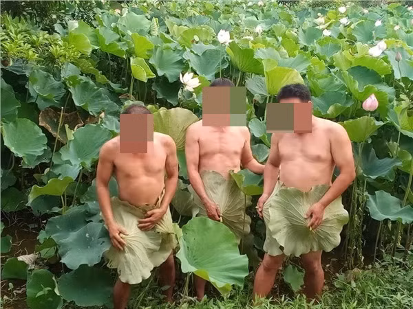 Trong loạt ảnh, nhân vật chính là 3 người đàn ông ở độ tuổi trung niên đang cởi trần "khoe dáng" dưới hồ sen. Người đăng tải những bức ảnh này viết chú thích: "Trong đầm gì đẹp bằng anh".