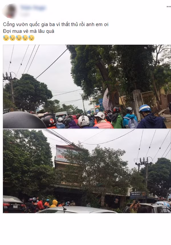 Lý giải cho những bức ảnh đông đúc này, nhiều dân phượt cho rằng, thời điểm này đang vào mùa hoa dã quỳ Ba Vì bắt đầu nở, thu hút đông đảo các bạn trẻ gần xa đến ngắm hoa, đi chơi, chụp ảnh.