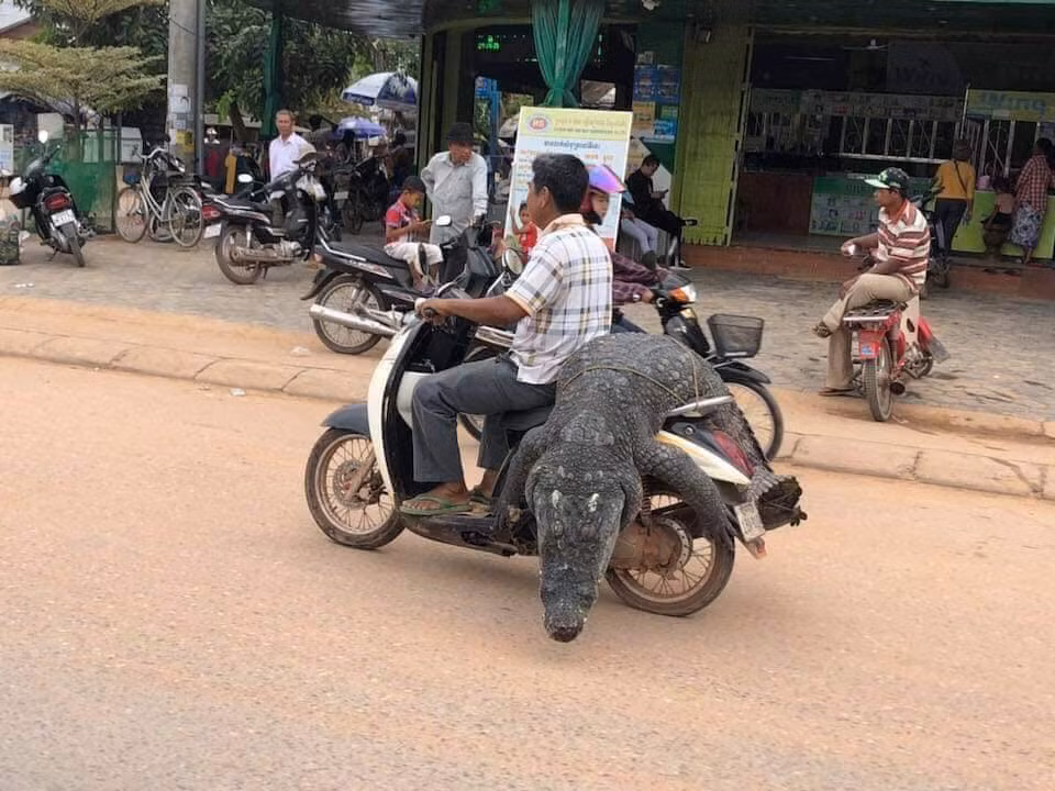 Vừa qua trên MXH, các dân mạng đã siêu tầm được bộ ảnh người dân chở những món đồ siêu dị hay chở cồng kềnh tham gia giao thông. Sau khi được đăng tải, những bức ảnh ghi lại hình ảnh siêu dị đã được CĐM thích thú để lại bình luận.