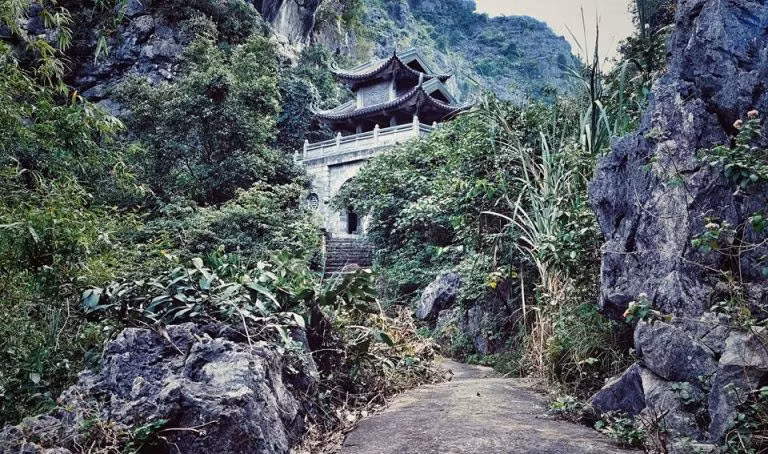 Theo tương truyền, Động Am Tiên là nơi vua Đinh Tiên Hoàng từng nuôi hổ báo, xây pháp trường, đồng thời có ngôi chùa Thái hậu Dương Vân Nga tu hành cuối đời.