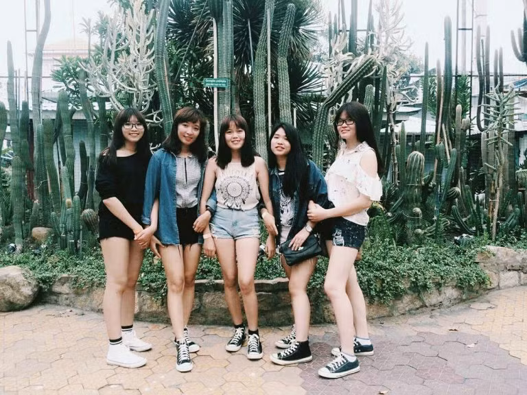 Khung cảnh check-in cực chất chẳng kém cạnh gì khu vườn trồng loại cây này ở Ba Vì. Ảnh: Mai Chi.