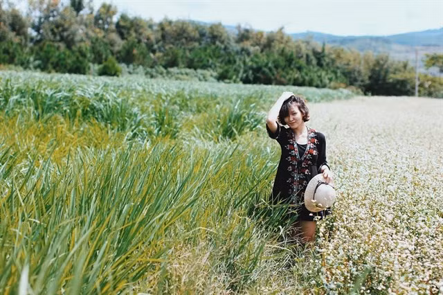 Hơn nữa, chính những bãi cỏ lớn cùng với hàng thông lãng mạng hai bên đường ở đây rất thích hợp cho những trò team building, cắm trại. Ảnh: Maxstone.